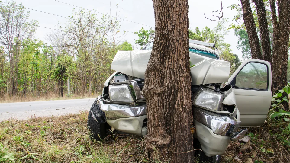 Veicolo incidentato contro albero - perizia tecnica